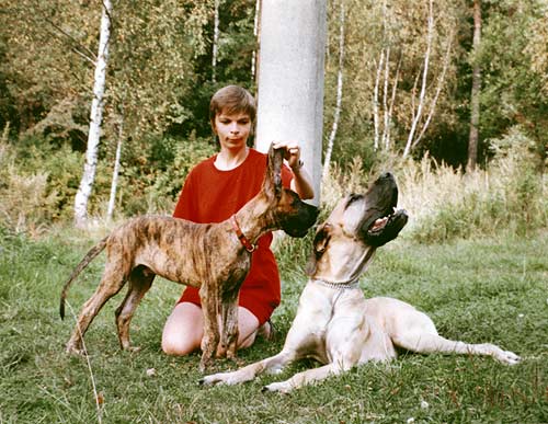 It I, Galina Yarmolovich and my Great Daness - three-monthly Iwan vom Allertal and two-year-old Vial Arko Grian in August, 1995.